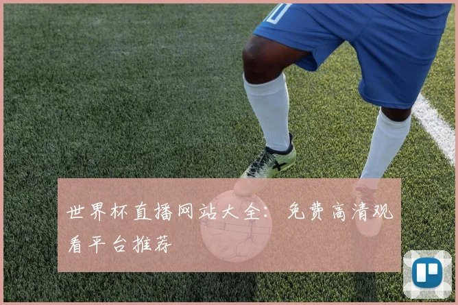 世界杯直播网站大全：免费高清观看平台推荐